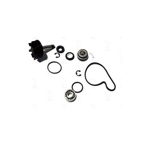 KIT REVISIONE POMPA ACQUA SUZUKI AN BURGMAN UC EPICURO UH BURGMAN RIF. 5506516