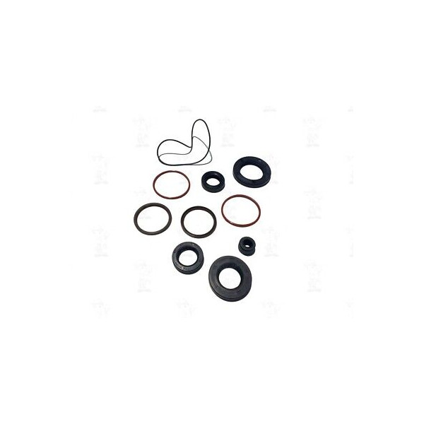 SERIE PARAOLIO MOTORE RMS PIAGGIO ZIP-FREE-QUARTZ-SFERA-NRG-NTT RIF 100640060