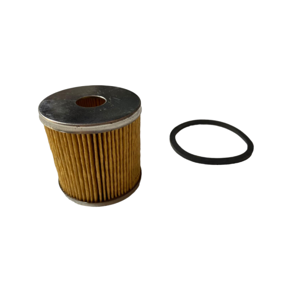 FILTRO GASOLIO,NAFTA SERBATOIO MOTORE RUGGERINI DIESEL MD151 MC70 + GUARNIZIONE