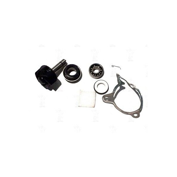 KIT REVISIONE POMPA ACQUA MALAGUTI YAMAHA BENELLI MBK APRILIA RIF. 5506504