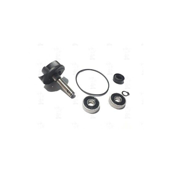 KIT REVISIONE GIRANTE POMPA ACQUA SCOOTER MINARELLI YAMAHA 50