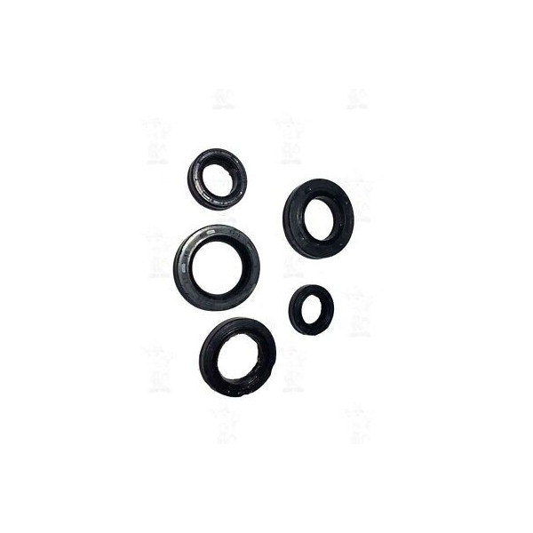 SERIE PARAOLI RMS PER ITALJET FORMULA MALAGUTI CROSSER 50CC ATALA RIF. 100641020