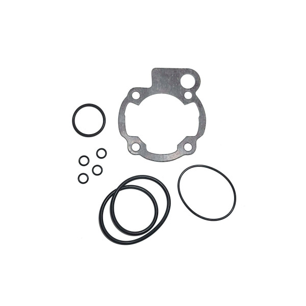 SERIE GUARNIZIONI GRUPPO TERMICO PINASCO PER MOTORI MINARELLI H2O RIF. 10332009