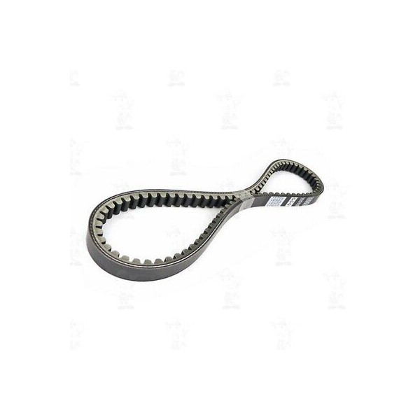 CINGHIA TRASMISSIONE TNT KEVLAR DOPPIA ANIMA TYPHOON GATES 9802-31501 RIF 268202