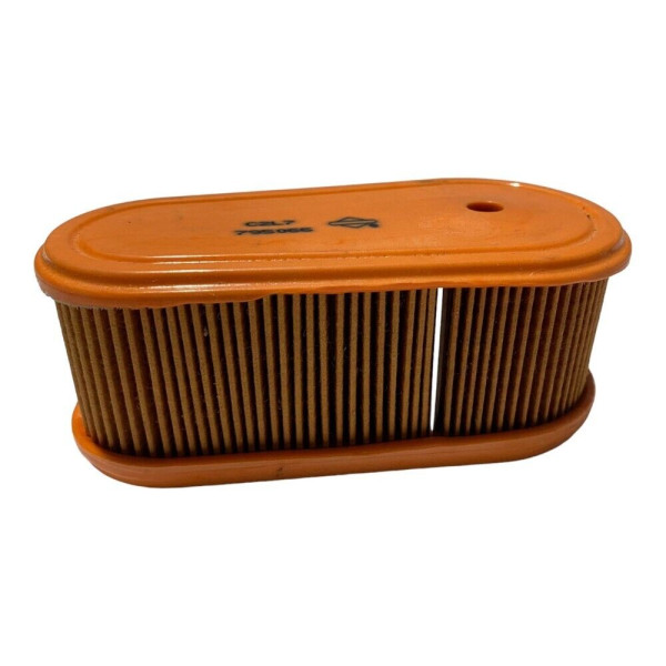 FILTRO ARIA ORIGINALE BRIGGS & STRATTON SERIE 800-850-875 RIF 795066