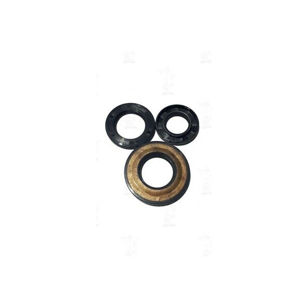 SERIE PARAOLI REVISIONE ALBERO MOTORE APE PIAGGIO P601/LV-CAR LS-P2 RIF. 11858