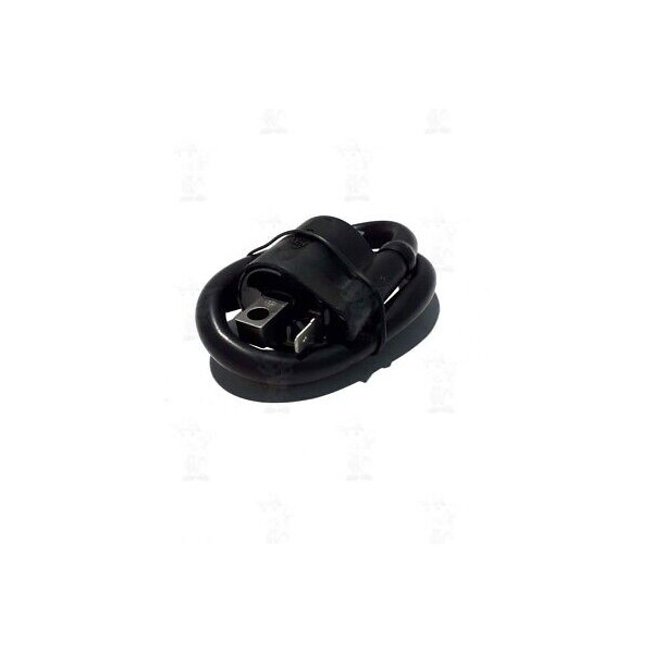 BOBINA ESTERNA ALTA TENSIONE RMS AMICO SCARABEO SR K2 BOOSTER AEROX 246010040