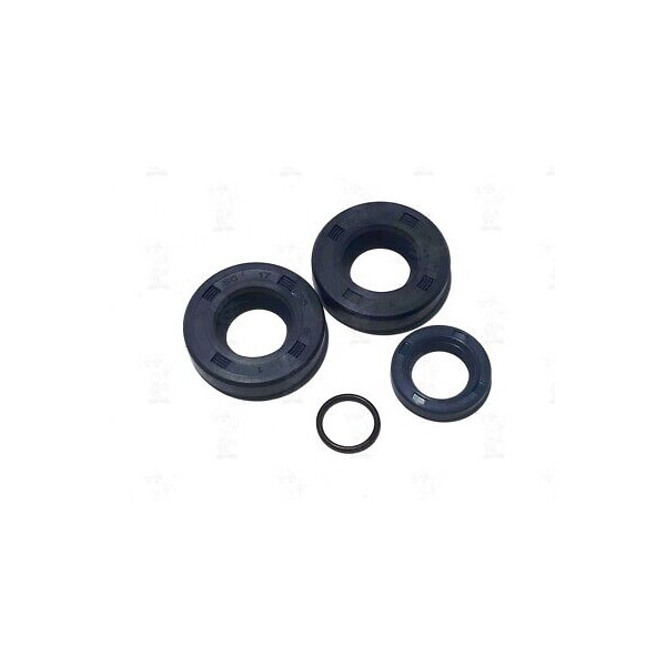 KIT 4 PEZZI SERIE PARAOLI REVISONE MOTORE MINARELLI V1 ART RMS 15025