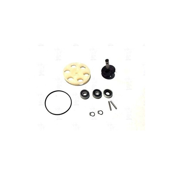 KIT REVISIONE GIRANTE MOTORI MINARELLI YAMAHA 50 CON PULEGGIA MOTRICE RIF. 58168