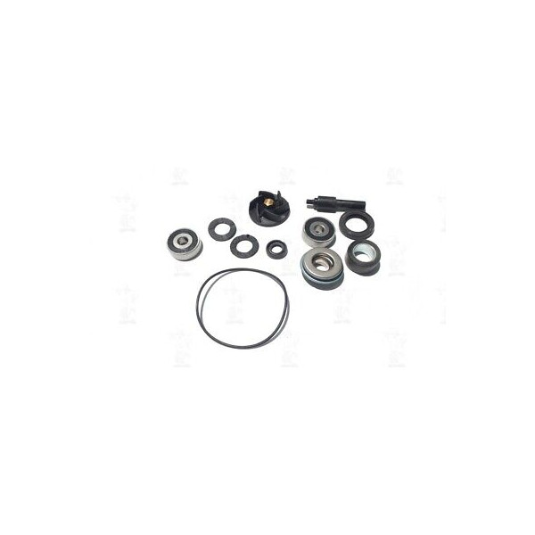 KIT REVISIONE POMPA ACQUA PIAGGIO X10 125 4T 4V IE EU3 12-13 RIF. 5506536