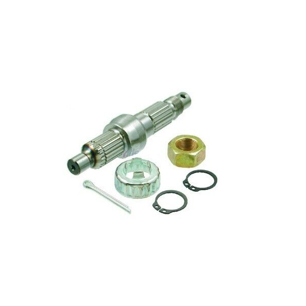 KIT ALBERO RUOTA POSTERIORE GILERA TYPHOON PIAGGIO VESPA HEXAGON RIF. 100240100