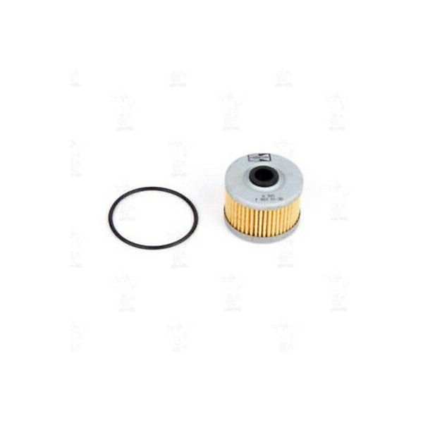 FILTRO OLIO MOTORE CHAMPION PER MOTORI HONDA NX650 DOMINATOR XL XR XBR RIF. X301