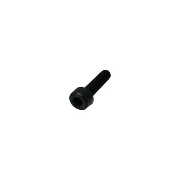 VITE MOTORE ORIGINALE STIGA GGP ALPINA CASTELGARDEN TORX PER MOTOSEGA 123878081